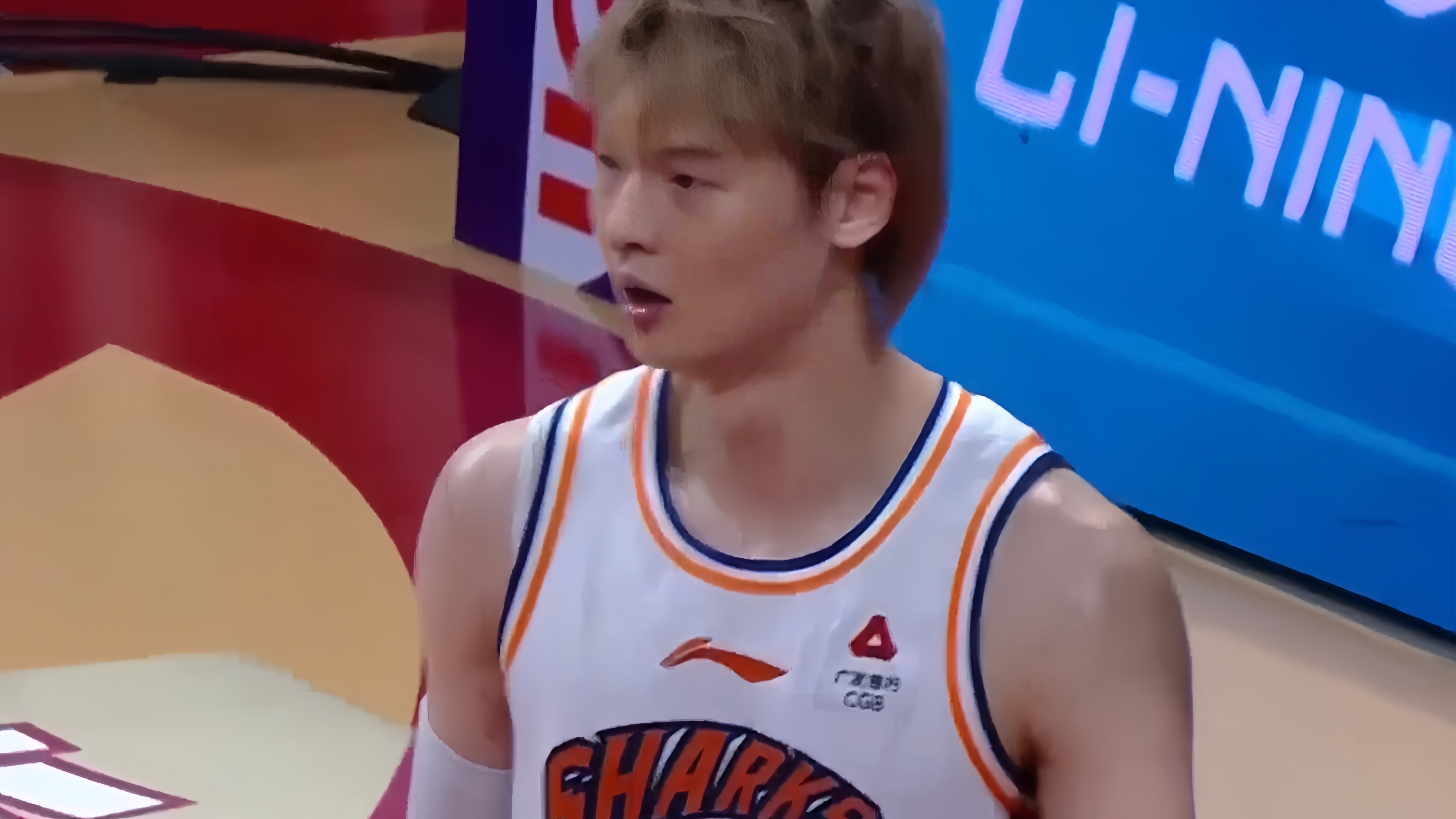 崖州湾林海案件详情