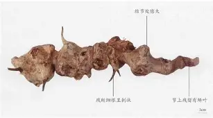 m?熘葜狉-庺Q焵鞜?Ef?|?Kr的简单介绍-竞博网站